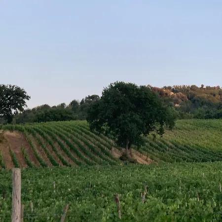 Podere Le Mulina *