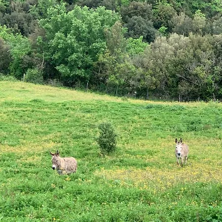 Farm stay Podere Le Mulina Castiglione d'Orcia